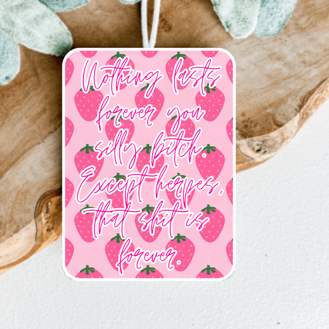 Nothing Lasts Forever Air Freshener, Car Freshie, Car Freshy, Car decoration