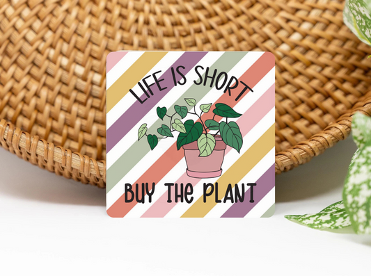 Buy The Plant 3x3 Flat Fridge Magnet, Locker Magnet