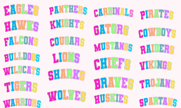 Neon Varsity Style Mascot Name, Sublimated Canvas Pouch, Cheer, Football, Basketball